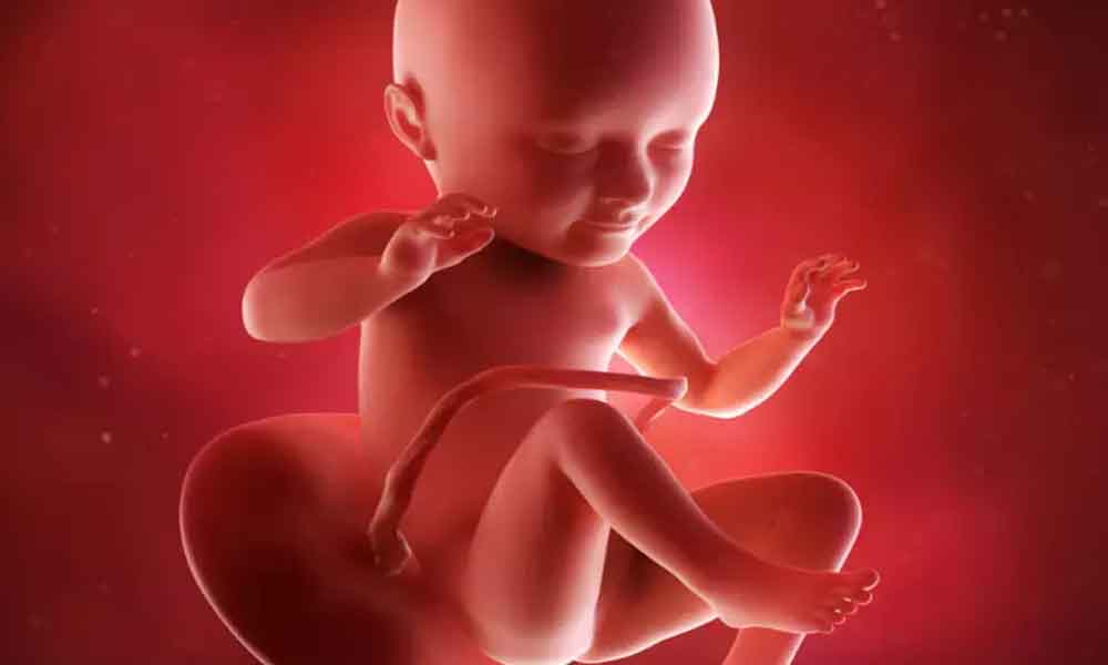 गर्भ में शिशु जब मूव नहीं करें तो प्रेग्नेंट महिला घर इन 5 टिप्स को ट्राई करें